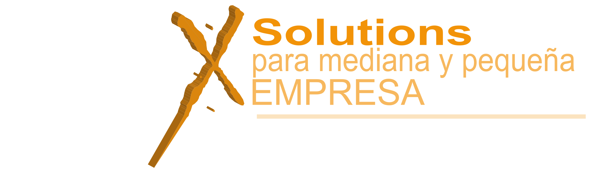 PYMEX Solutions — Mediana y pequeña empresa